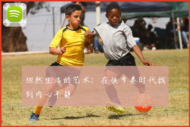 坦然生活的艺术：在快节奏时代找到内心平静